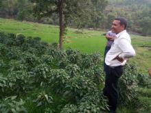 अध्यक्ष, प्रमुख प्रशासकीय अधिकृत सहित को टोलि भिमसेनथापा गाउँपालिकाको कृषि पकेट क्षेत्र अनुगमन गर्दै ।